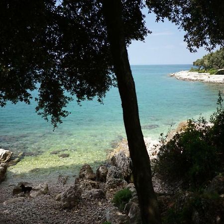 Guesthouse Galeb 브르사르 외부 사진